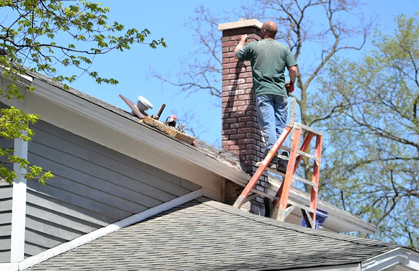 Chimney & Fireplace Inspections Services in Chaparral, NM